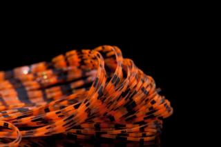 Orange with Black Bars