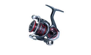 Daiwa 21 Ballistic MQ LT 1000D