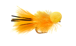 Booby Long Tail Damsel (2339)