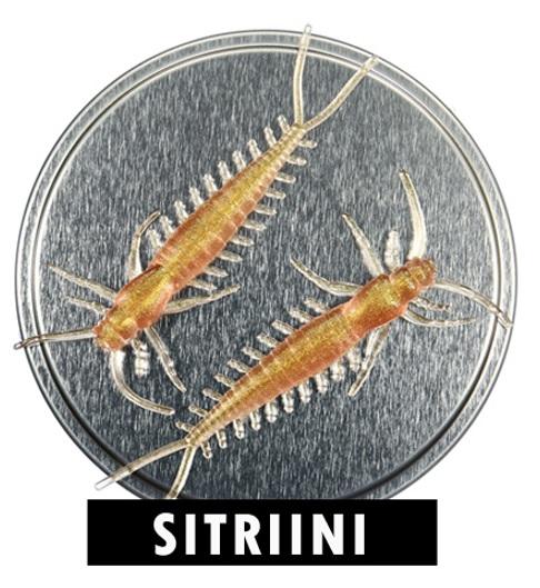 Microbite Arthropod väri 6. Sitriini